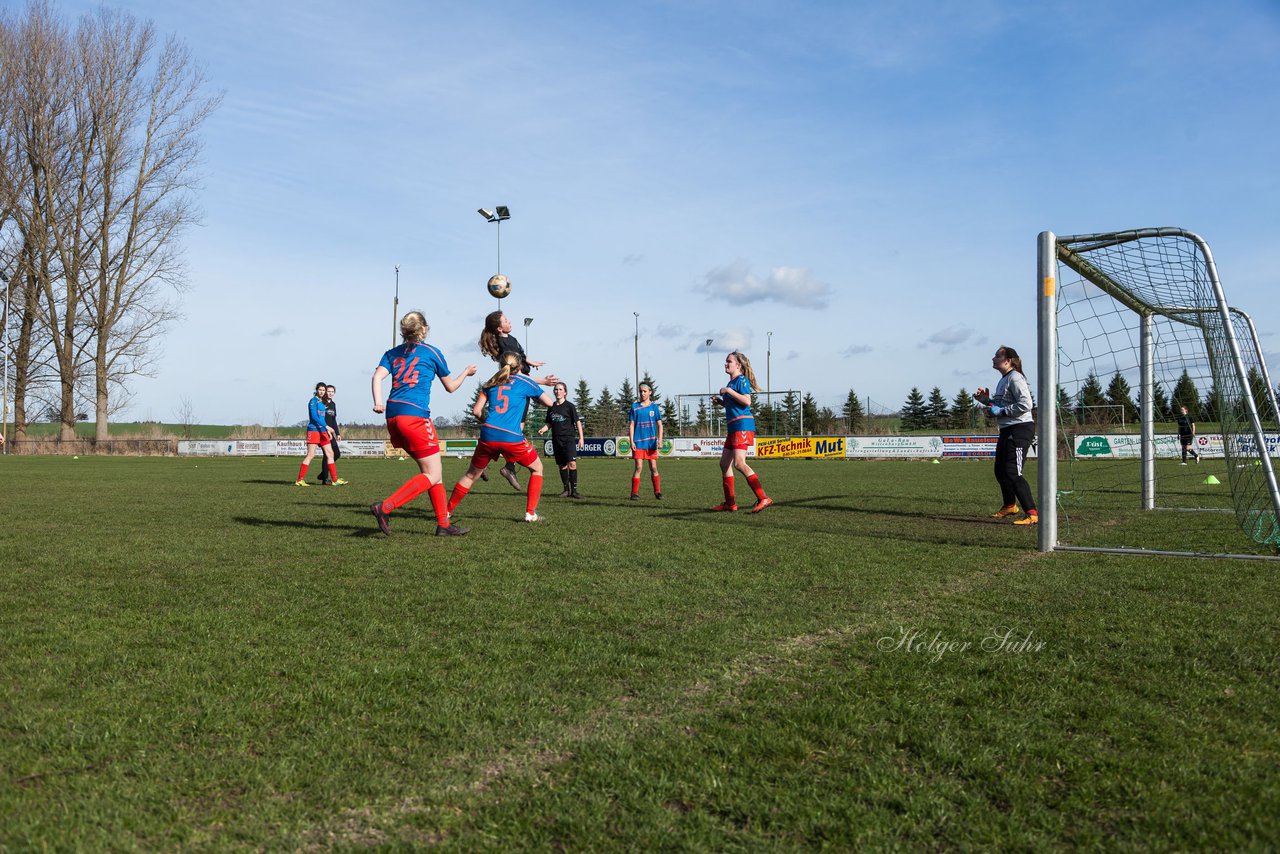 Bild 294 - C-Juniorinnen SV Steinhorst/Labenz - TSV Friedrichsberg-Busdorf : Ergebnis: 5:0